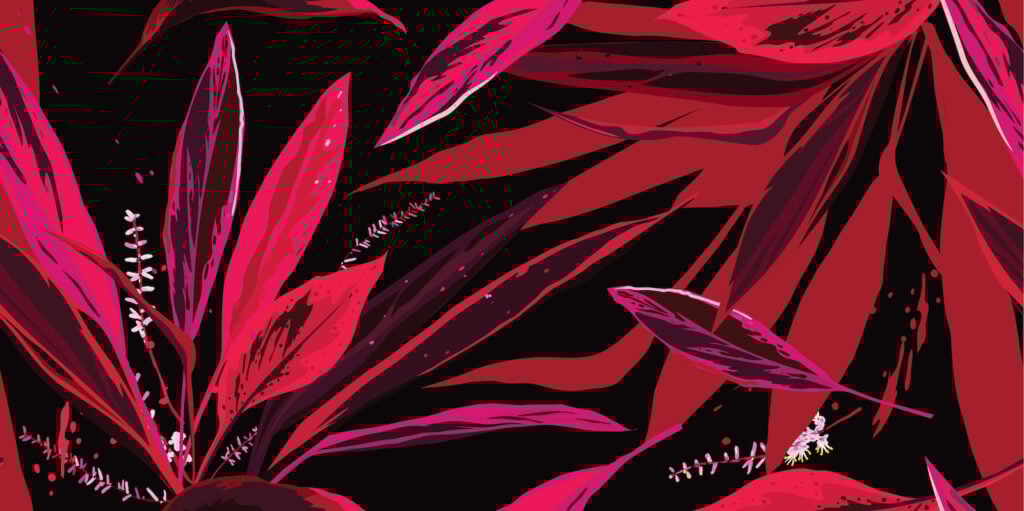 Black and pink flower design