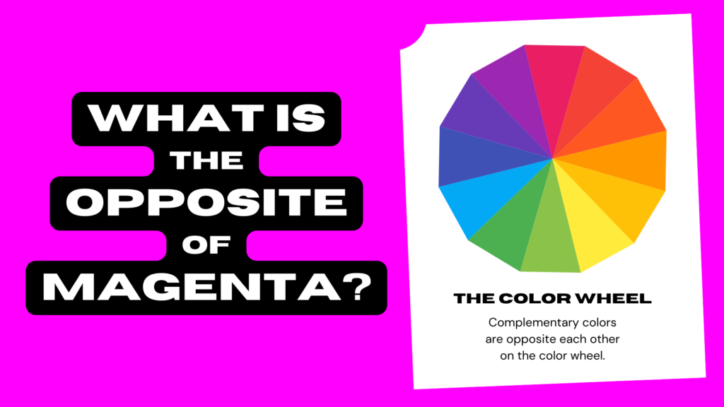 Illustration with color wheel and text saying what is the opposite of magenta