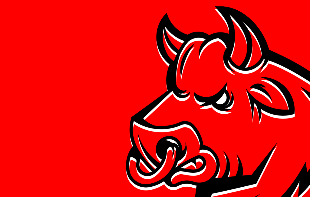 Illustration of angry bull on red background