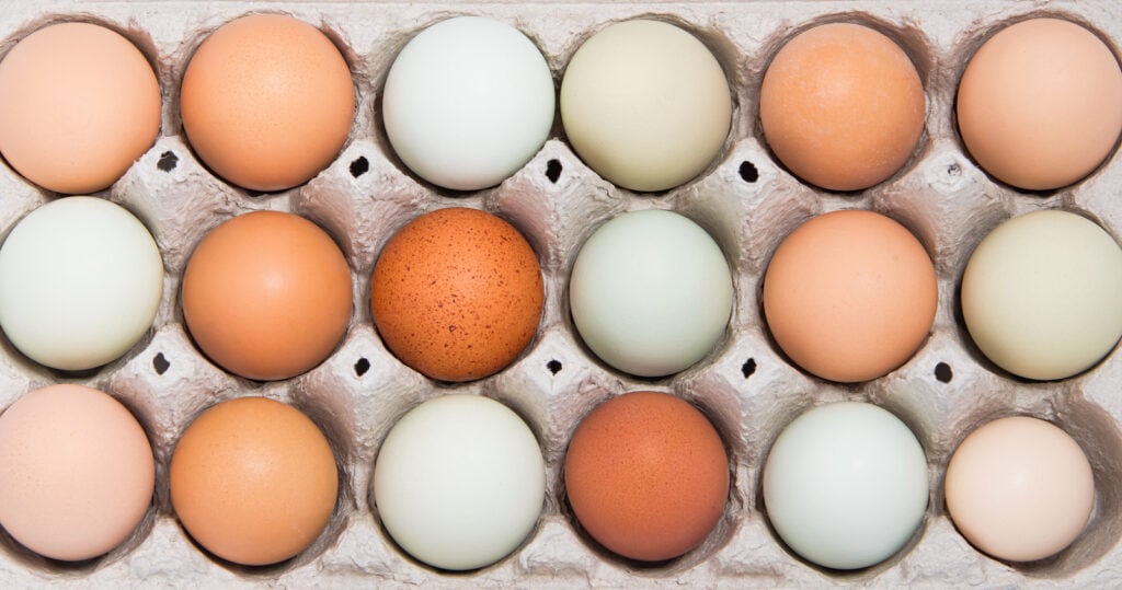 Colorful eggs in a tray