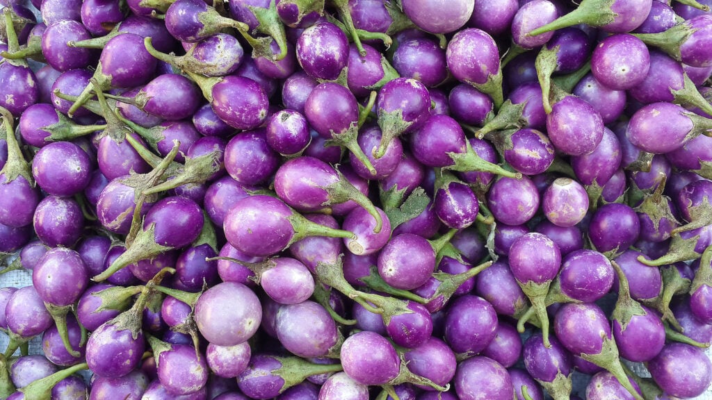 A pile of small purple eggplants