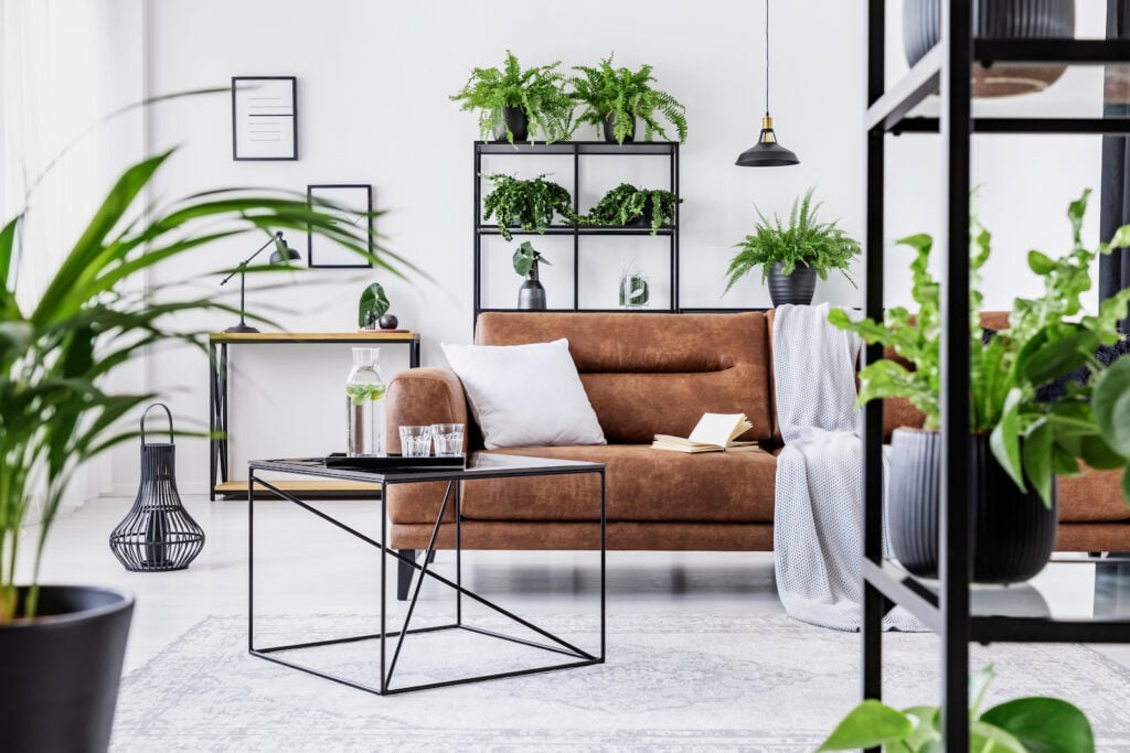 Plants in modern living room interior with big comfortable leather couch and coffee table.