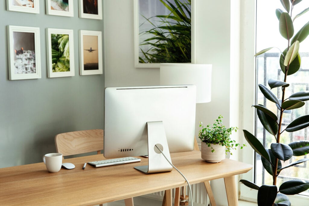 Cozy workplace with houseplants.