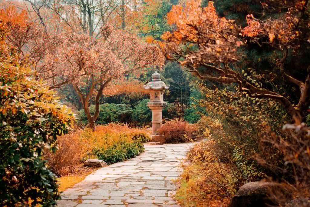 Autumn garden design