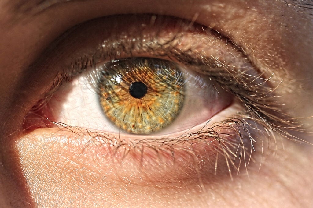 Amber Eyes: How Rare Are They?