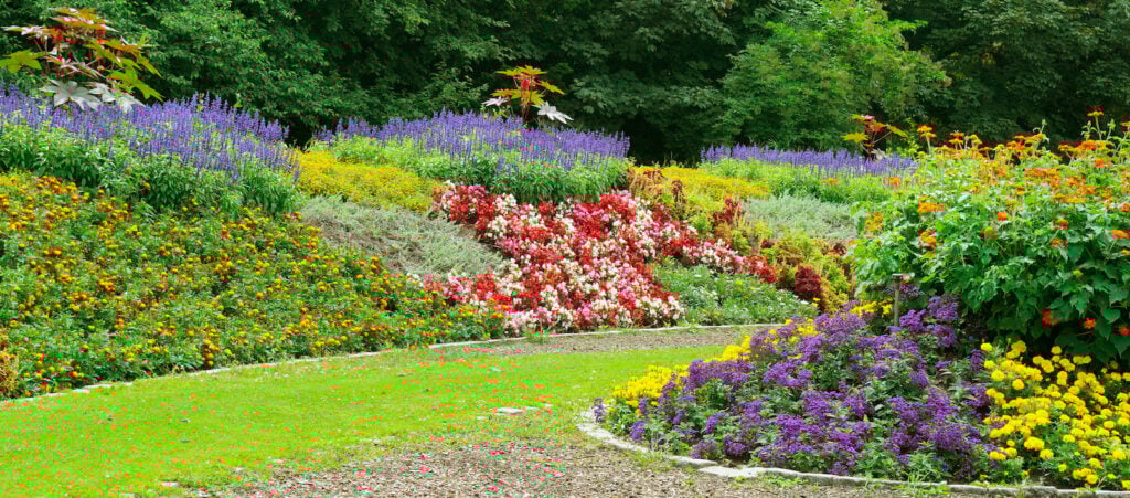 Colorful flowerbed in garden