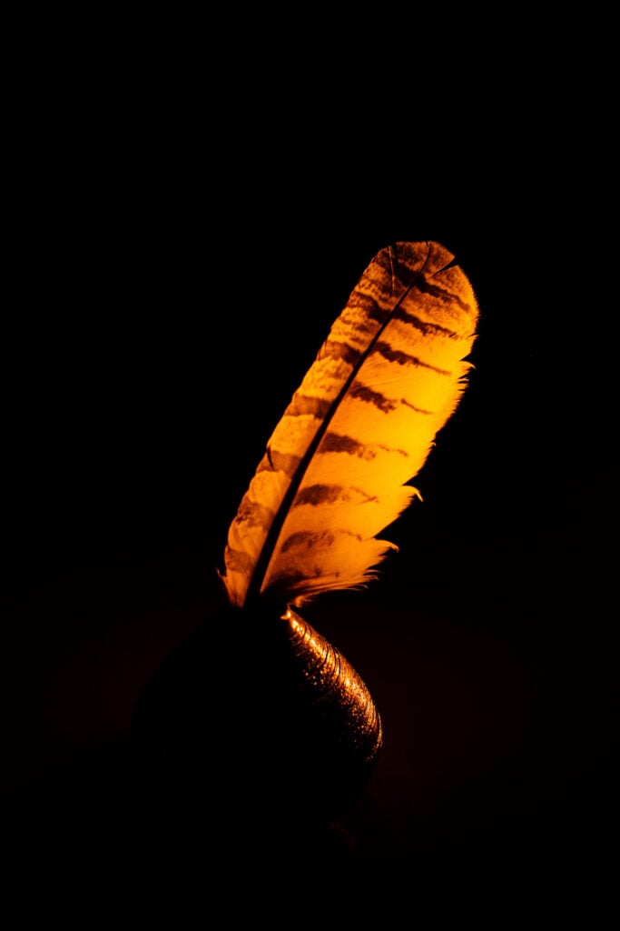 Glowing orange feather against black background.