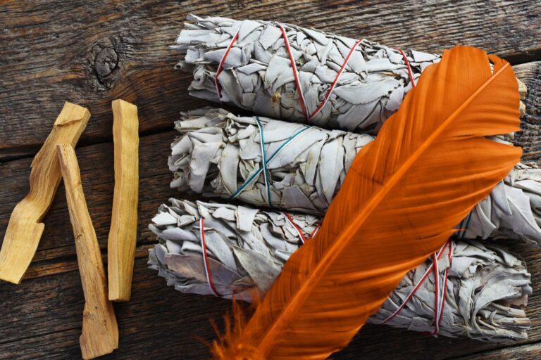 Orange Feather Meaning and Symbolism Color Meanings