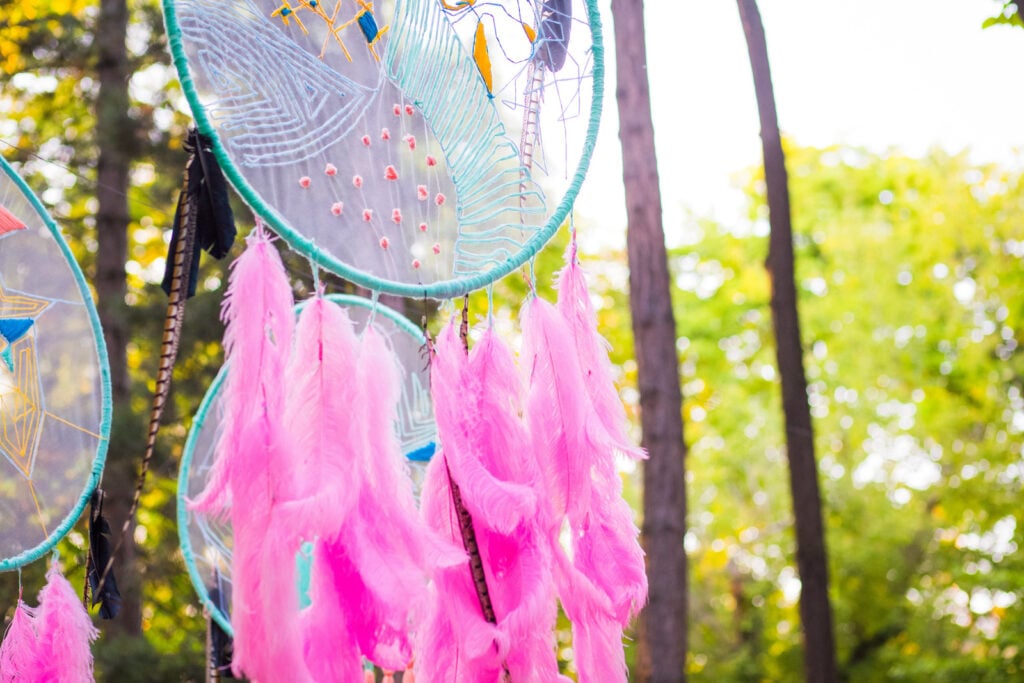 Dreamcatchers with pink feathers hanging in woods.