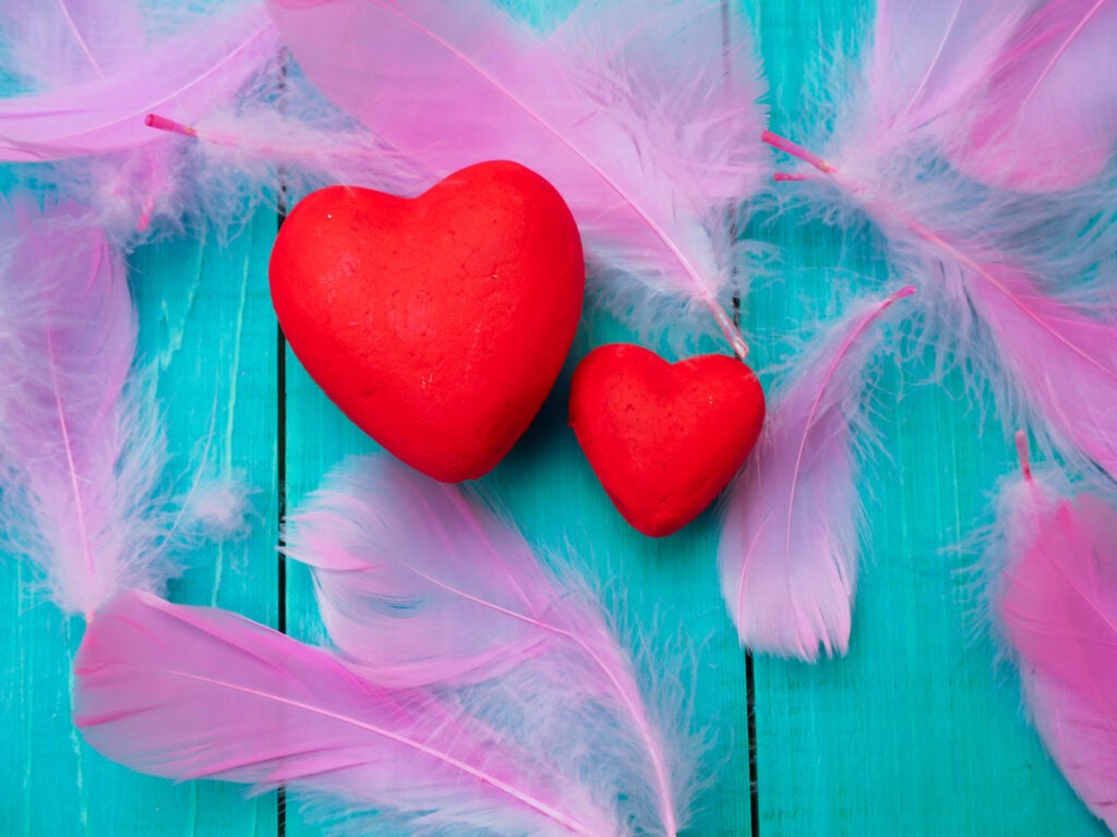 Pink feathers next to red hearts.