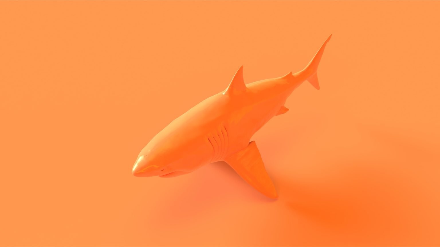 what-does-the-color-orange-mean-in-a-dream-color-meanings