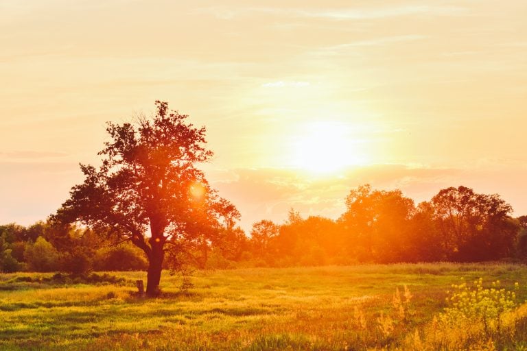 what-does-the-color-orange-mean-in-a-dream-color-meanings