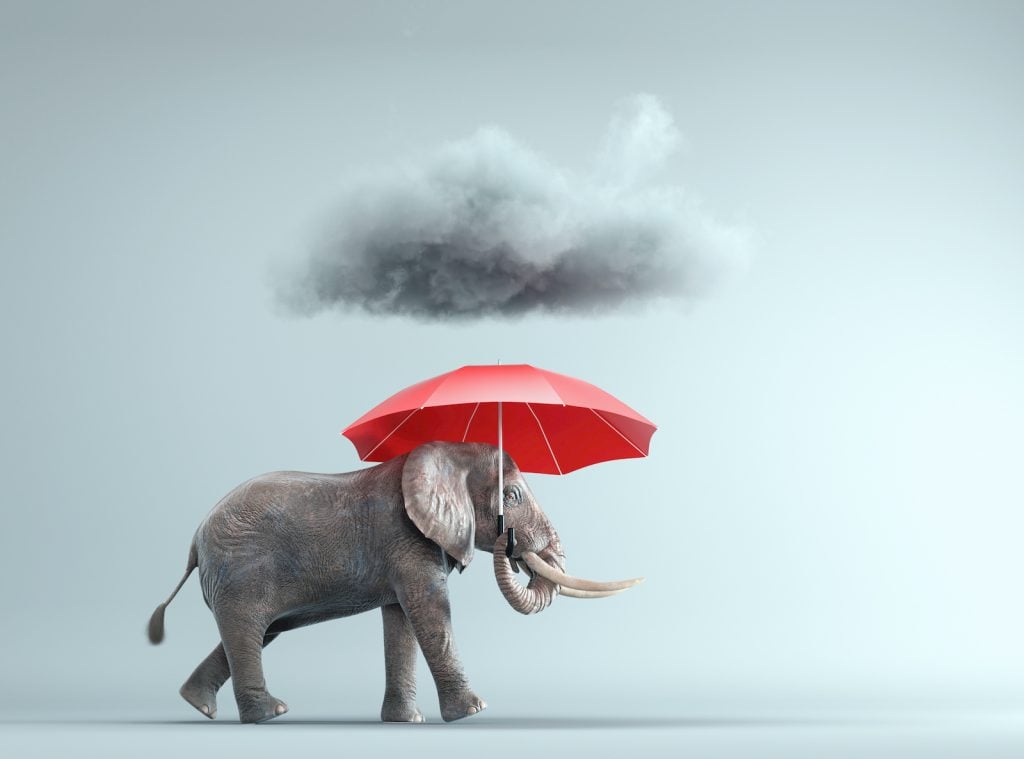 An elephant holds a red umbrella that protects him from a cloud