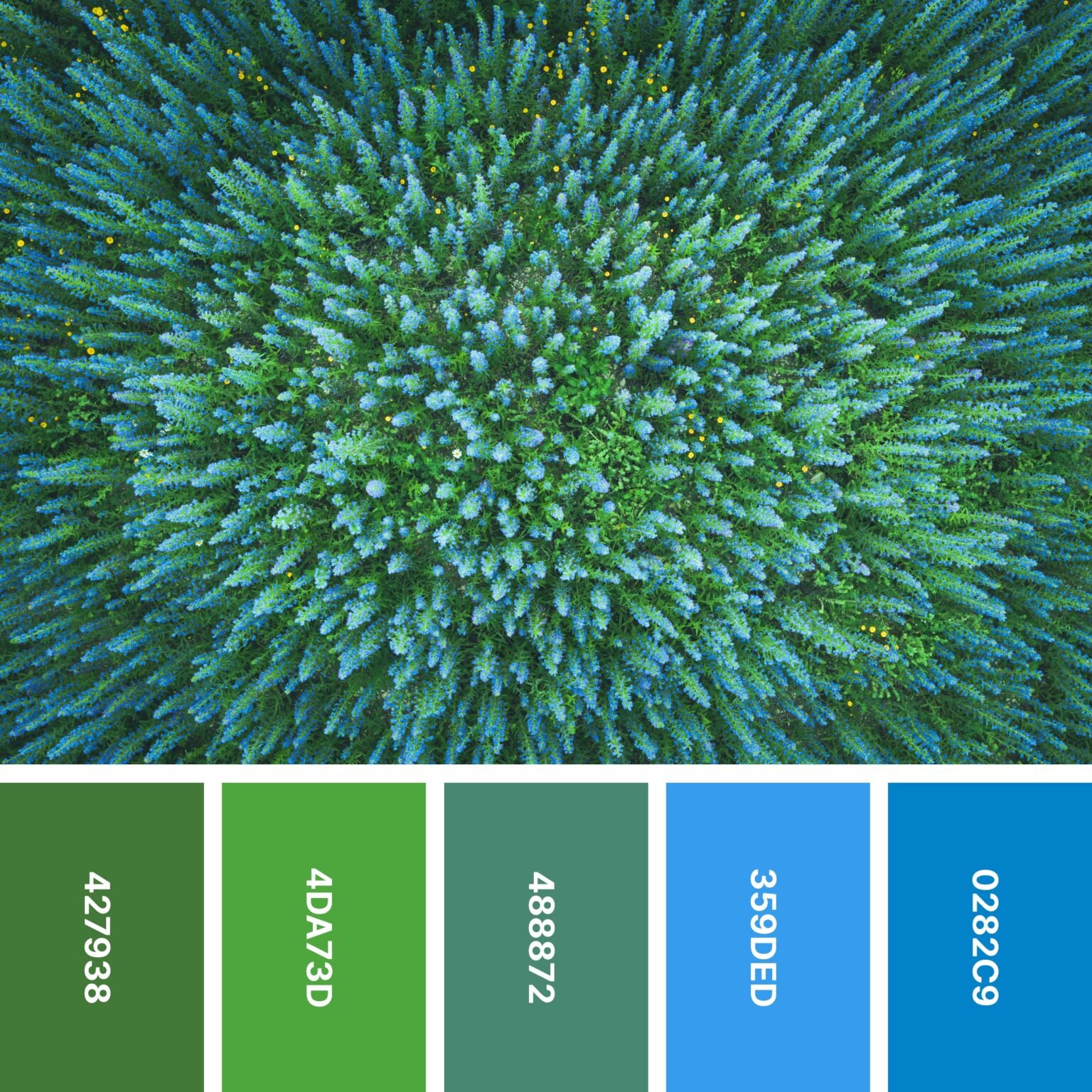 30 cool color palettes for calming designs color meanings
