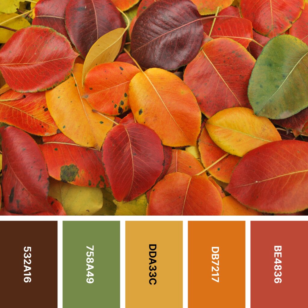 Forest Flame color palette