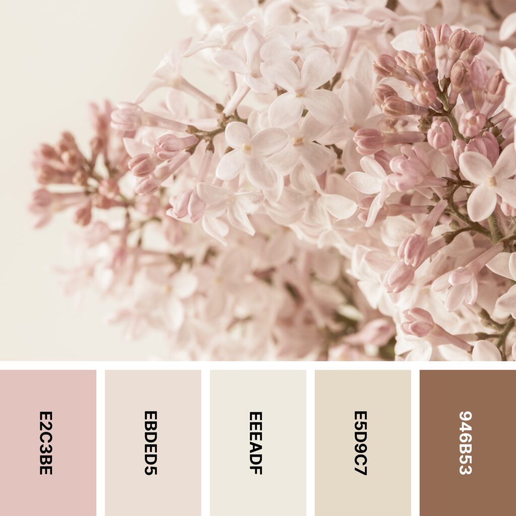 Cherry Blossom color palette