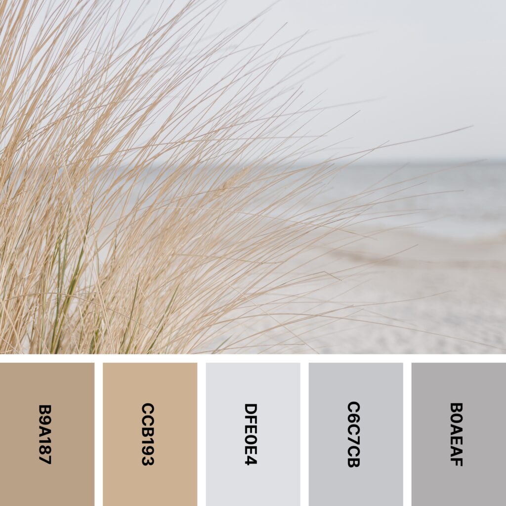 Seaside color palette