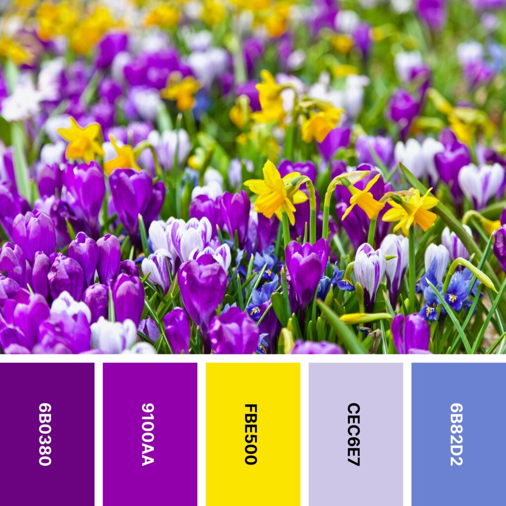 Flower Path color palette