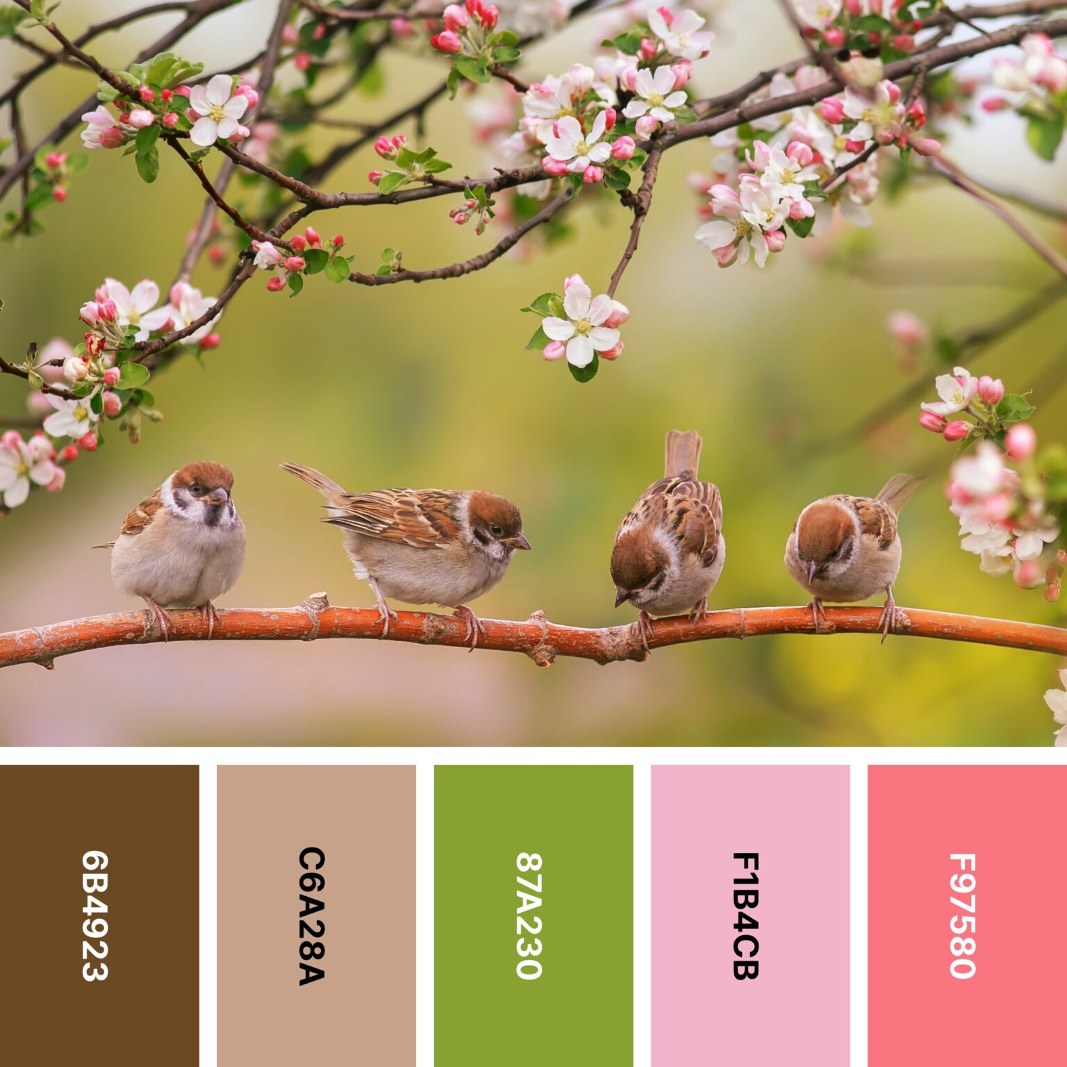 30 Spring Color Palettes for Fresh Designs | Color Meanings