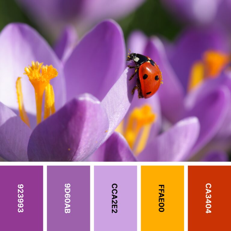 30 Spring Color Palettes for Fresh Designs | Color Meanings