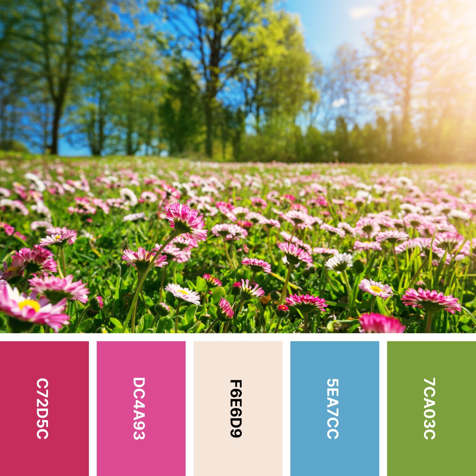 30 Spring Color Palettes for Fresh Designs | Color Meanings
