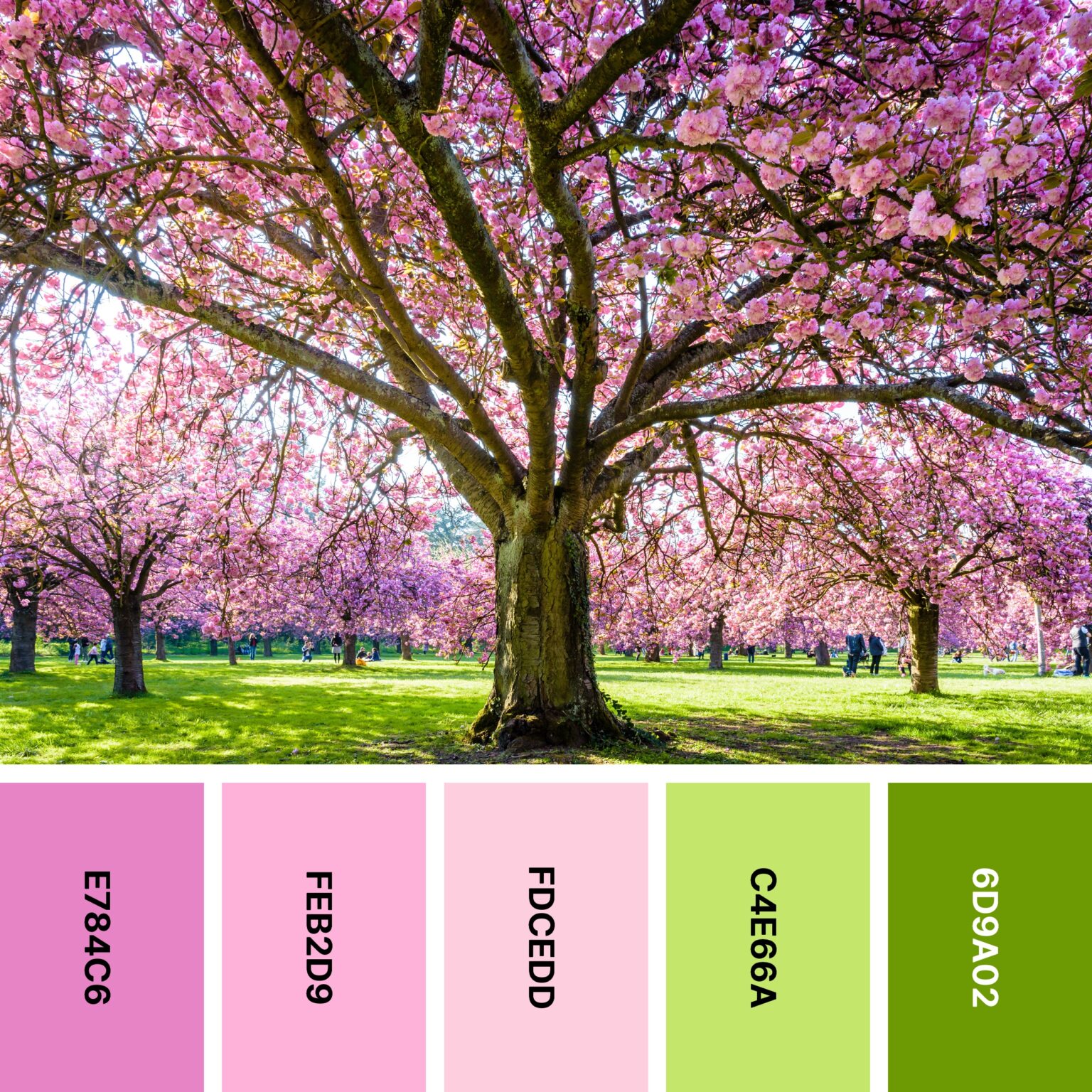 30 Spring Color Palettes for Fresh Designs | Color Meanings