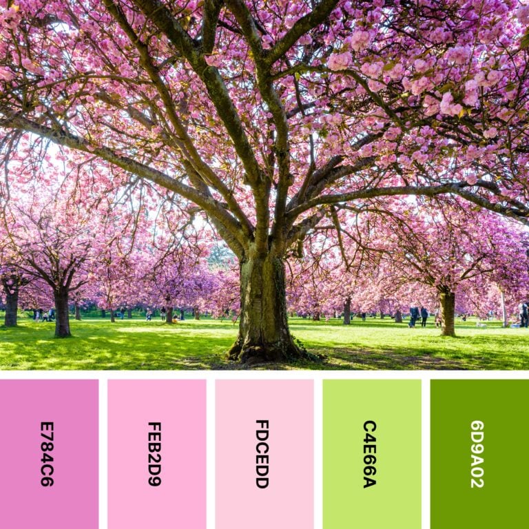 30 Spring Color Palettes for Fresh Designs | Color Meanings