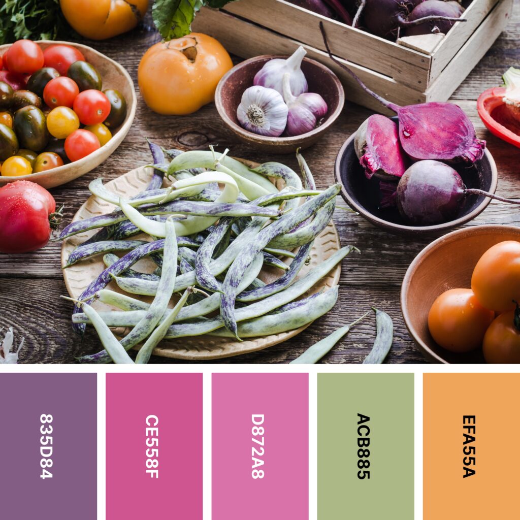 Beetroot color palette