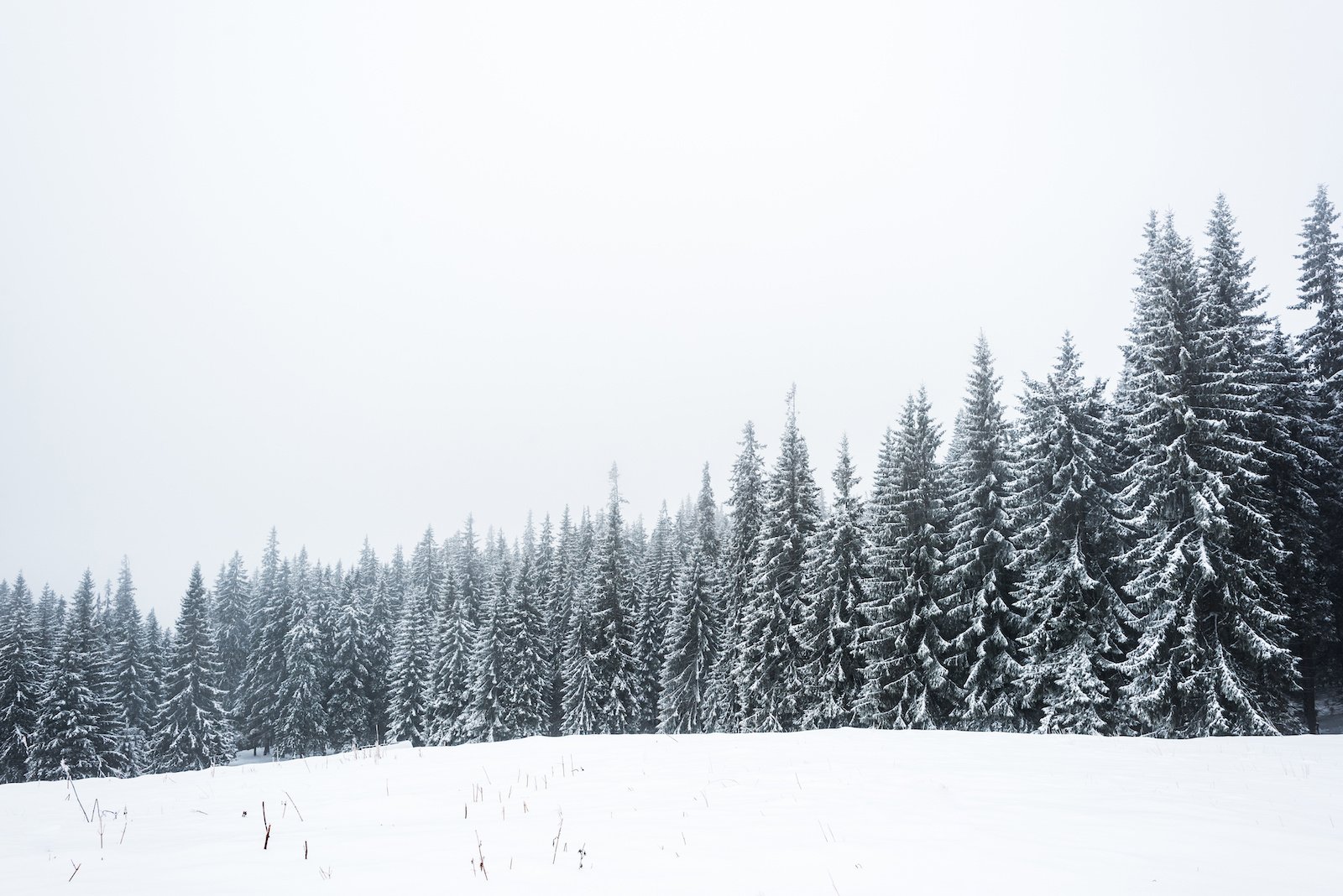 Why Is the Sky White? The Science Behind White Skies - Color Meanings