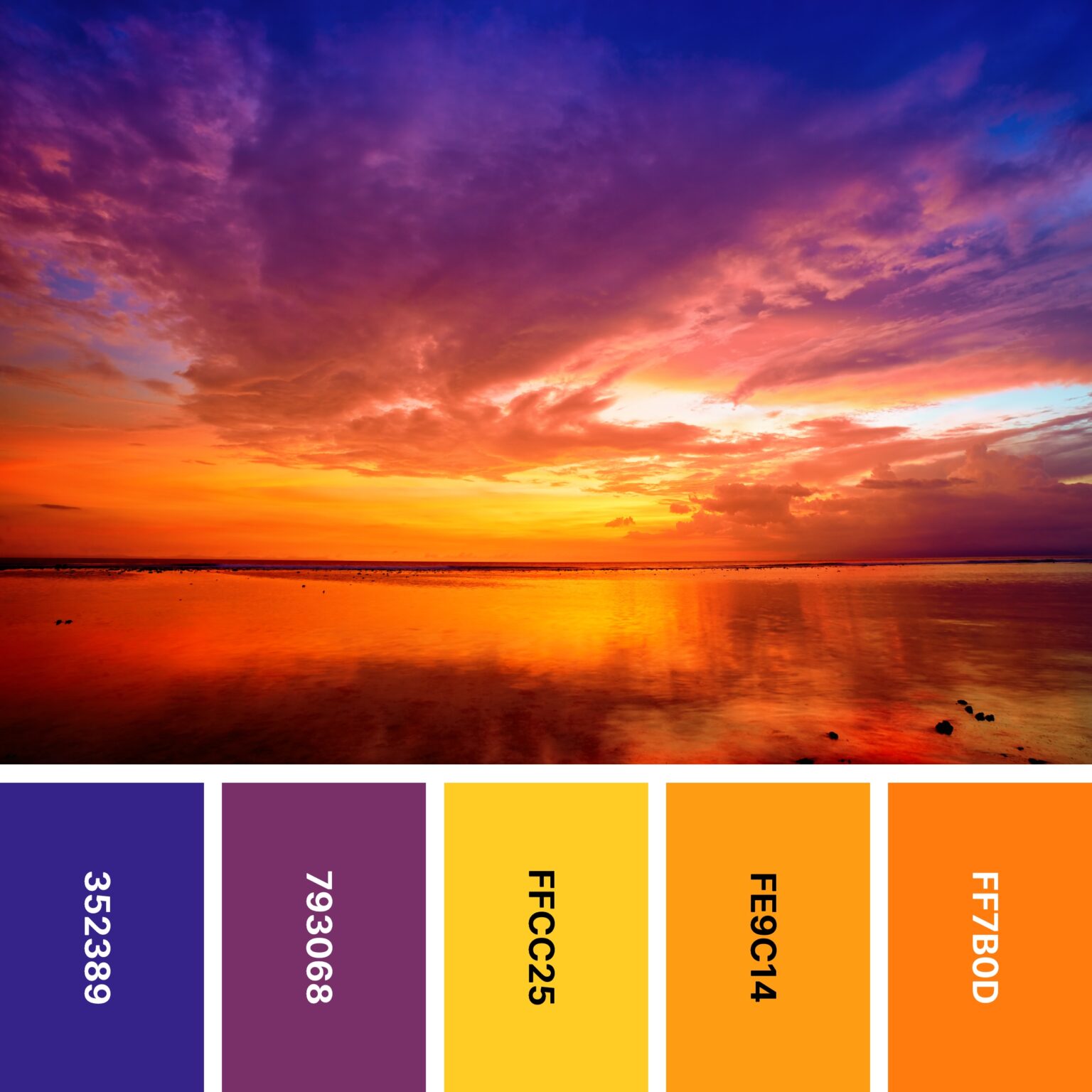 31 Sunset Color Palettes For Captivating Designs Color Meanings