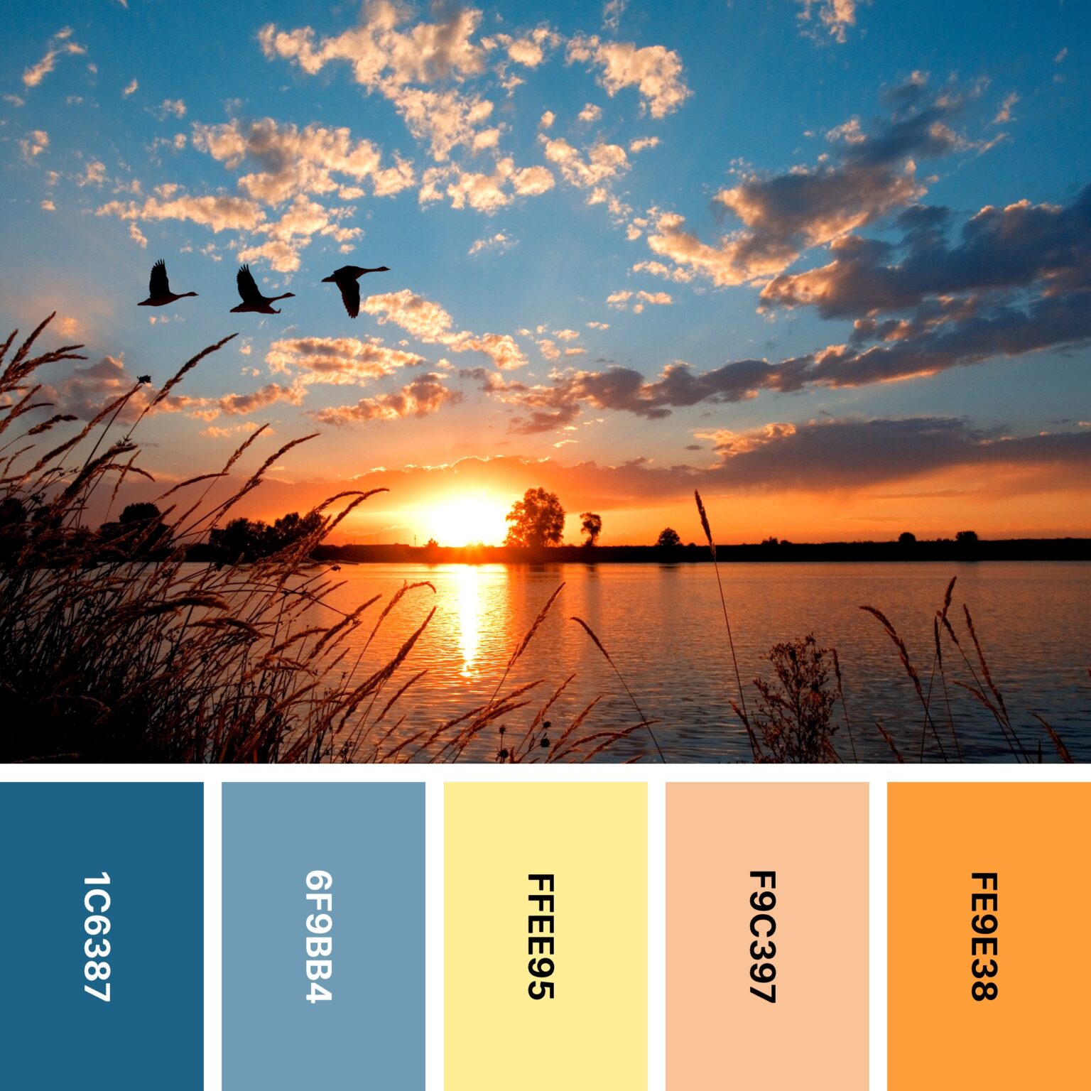 31 Sunset Color Palettes For Captivating Designs Color Meanings 31 Sunset Color Palettes For Captivating Designs Color Meanings