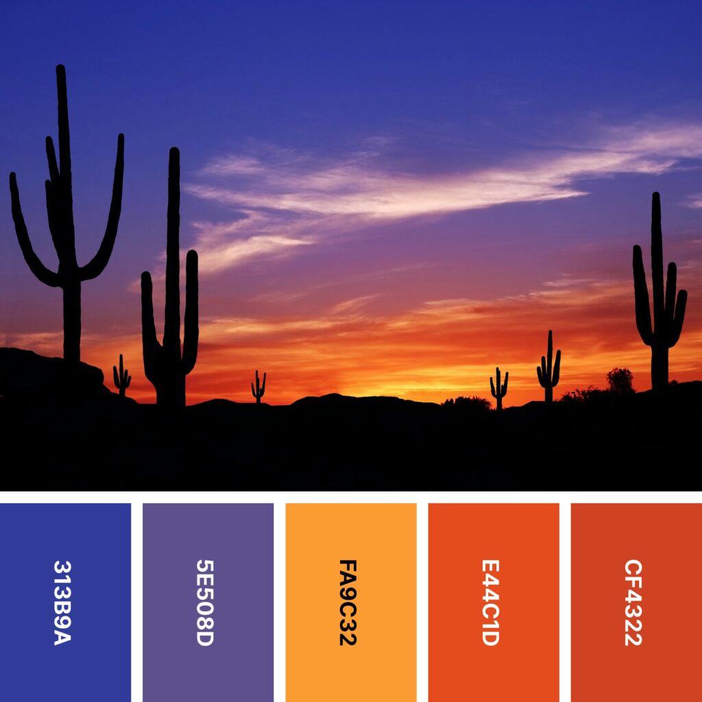Saguaro color palette