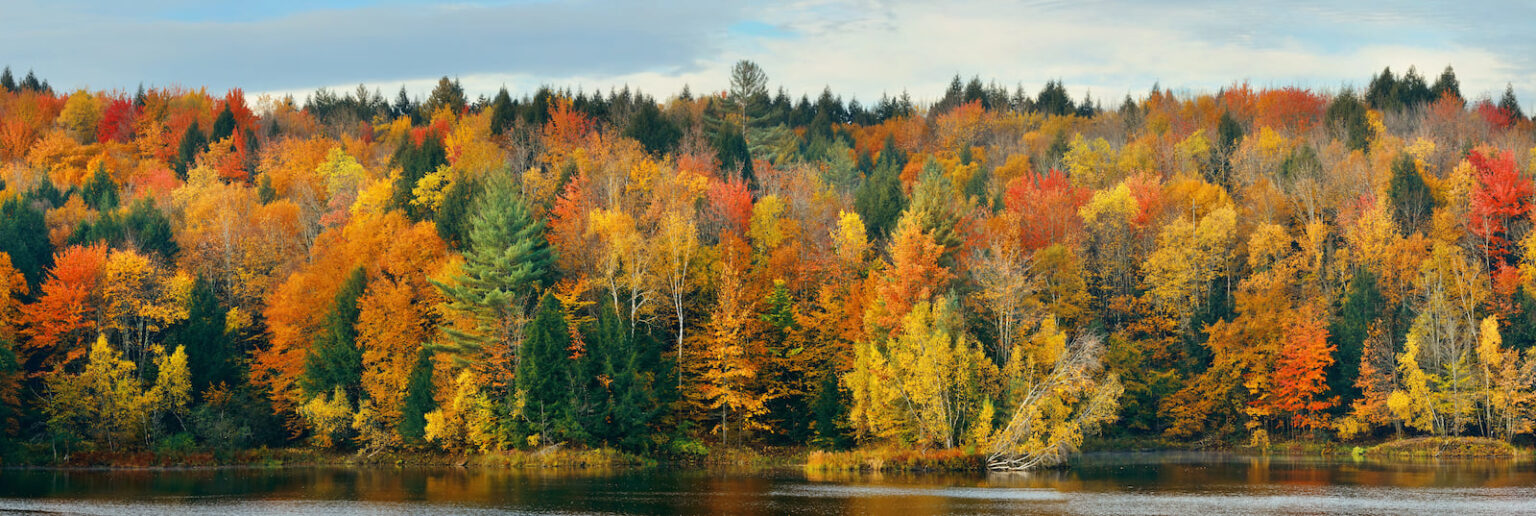 Colro Week Understanding Seasonal Colors: How Do They Affect Us? | Color Meanings