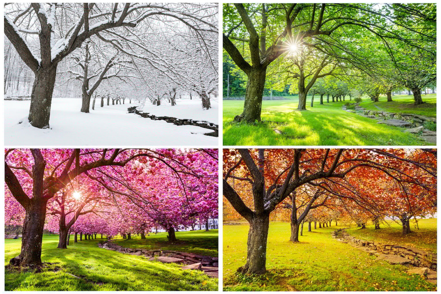 Understanding Seasonal Colors: How Do They Affect Us? | Color Meanings