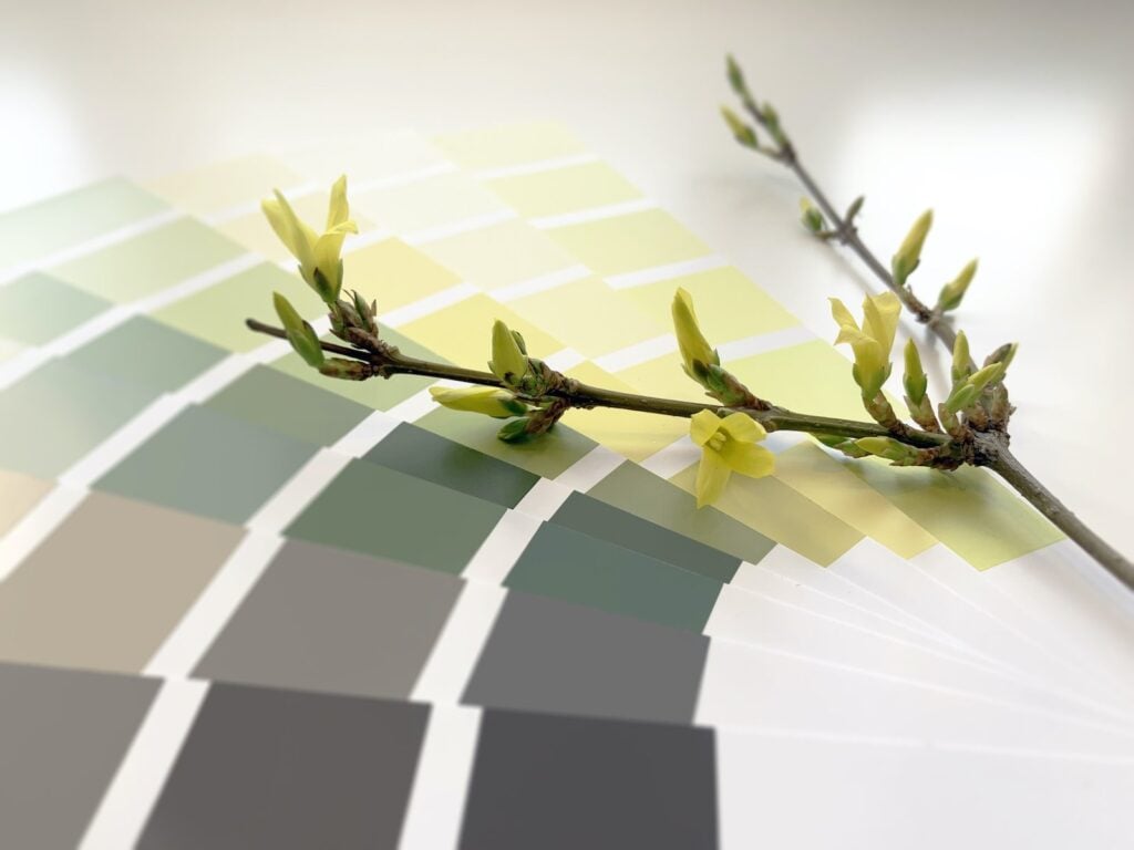 An artistic photo of a branch with new buds alongside color swatches for a similar color palette