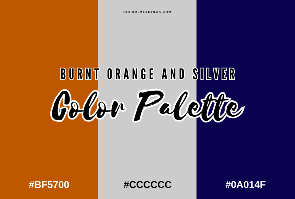 Burnt Orange and Silver Color Palette