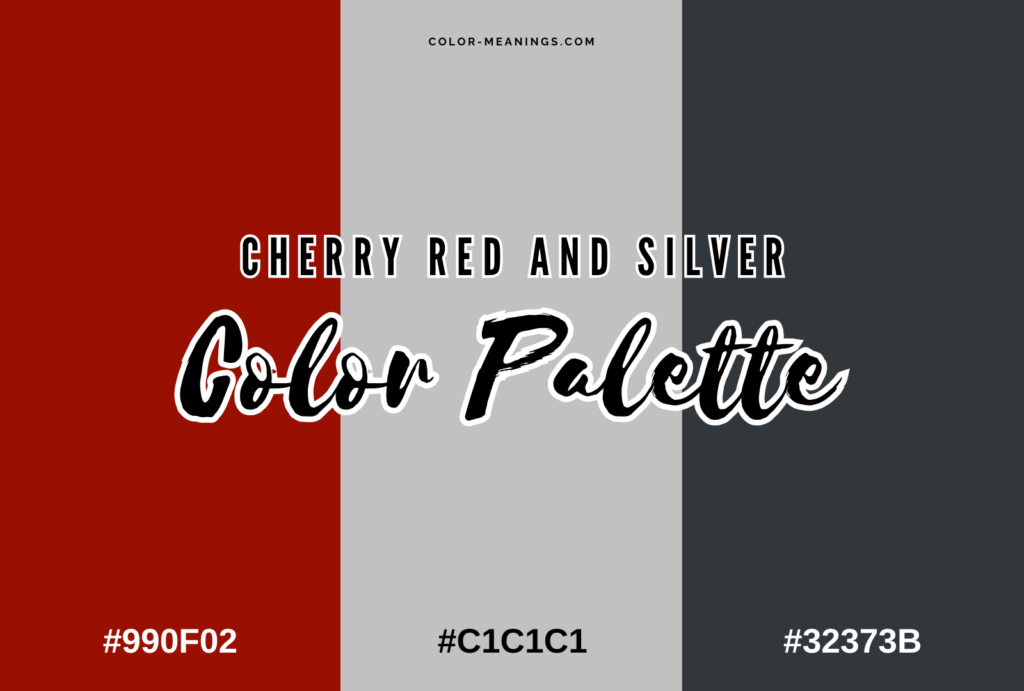 Cherry Red and Silver Color Palette
