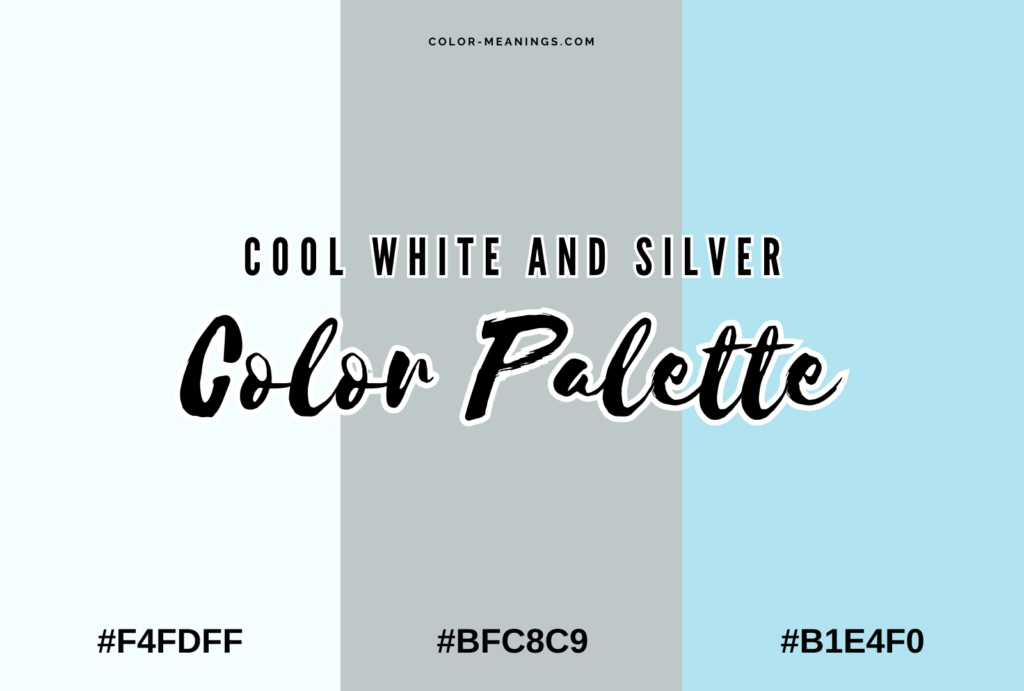 Cool White and Silver Color Palette