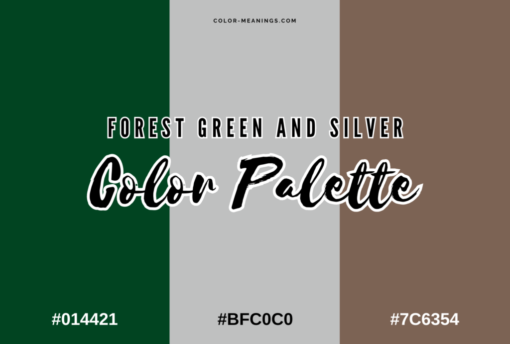 Forest Green and Silver Color Palette