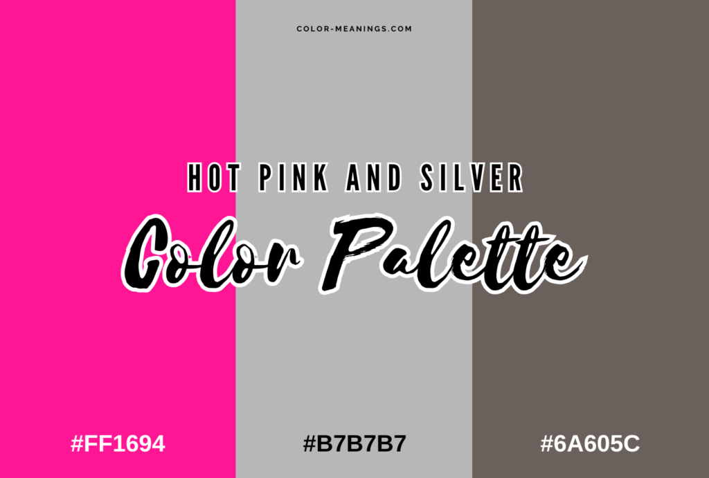 Hot Pink and Silver Color Palette
