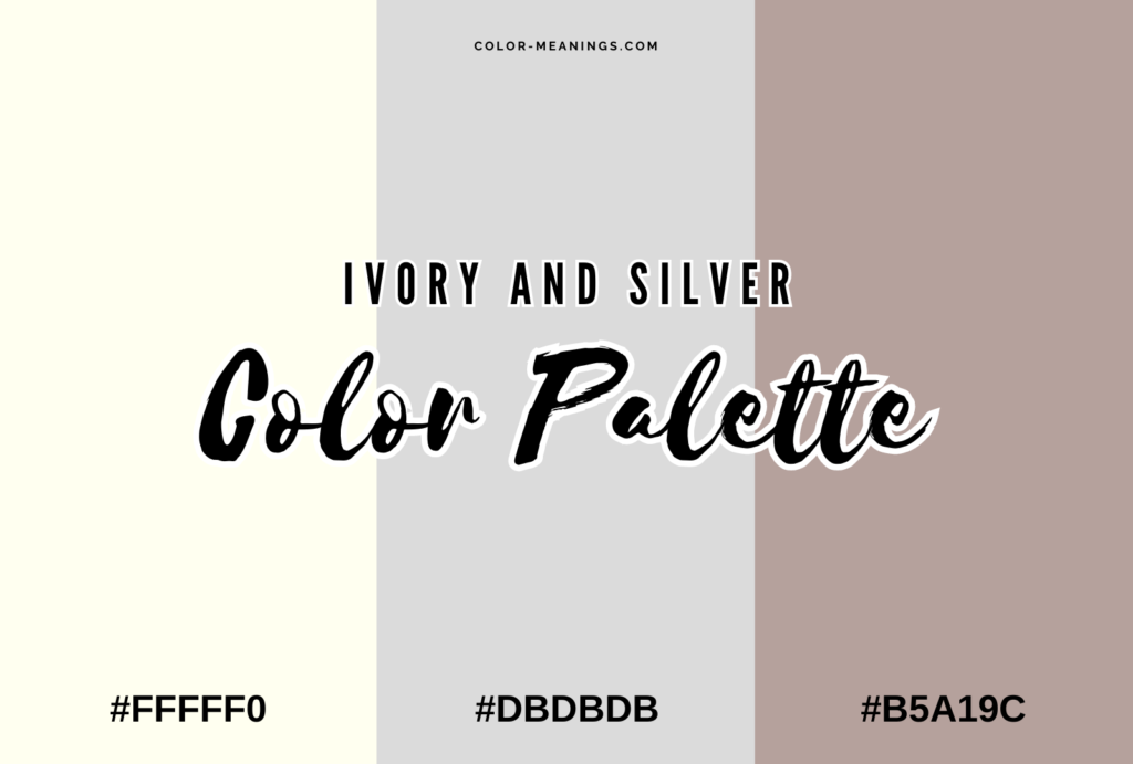 Ivory and Silver Color Palette