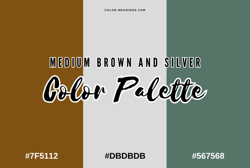Medium Brown and Silver Color Palette