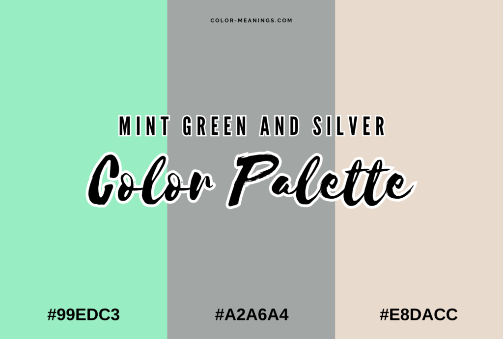 Mint Green and Silver Color Palette