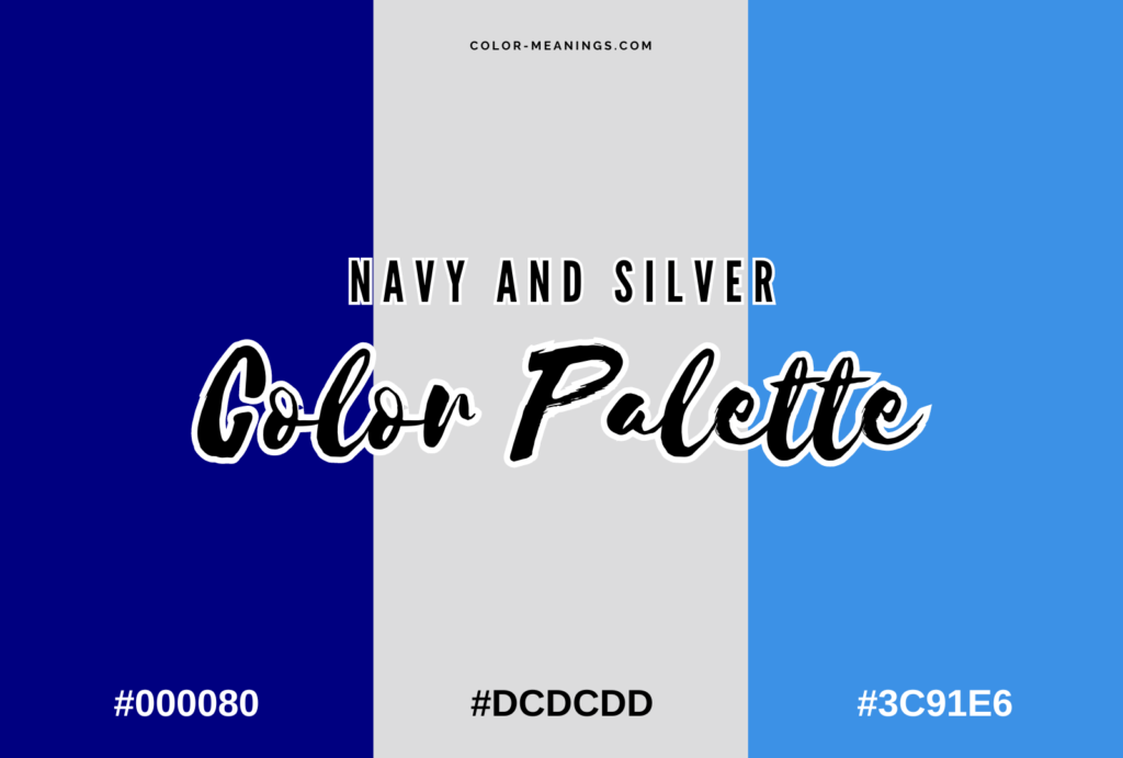 Navy and Silver Color Palette