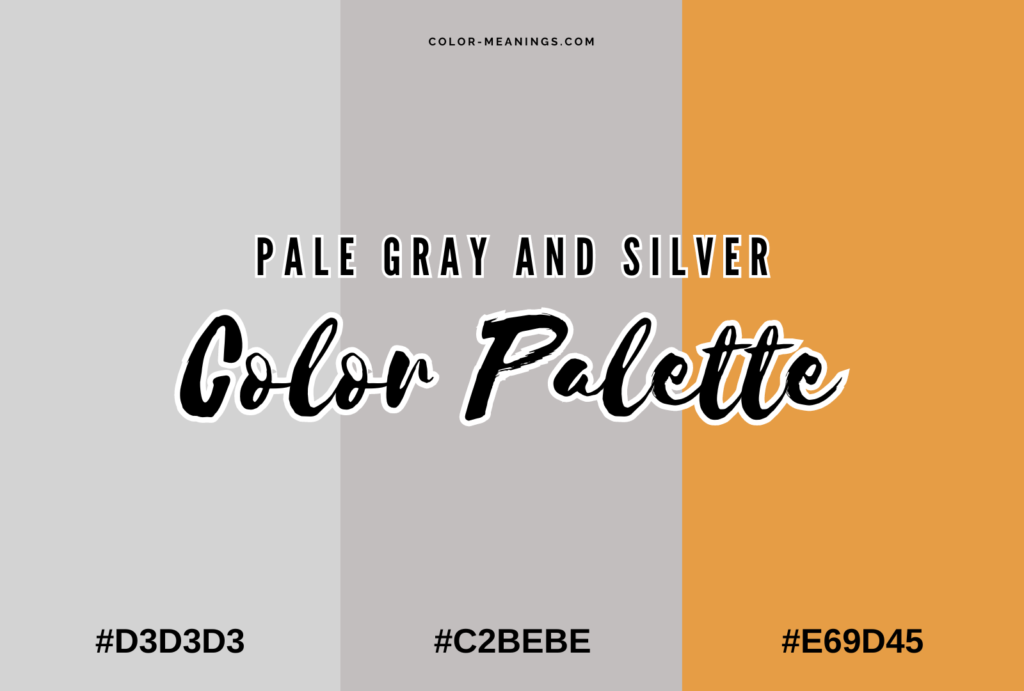 Pale Gray and Silver Color Palette