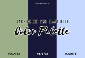 27 Colors That Go With Navy Blue (Color Palettes) | Color Meanings