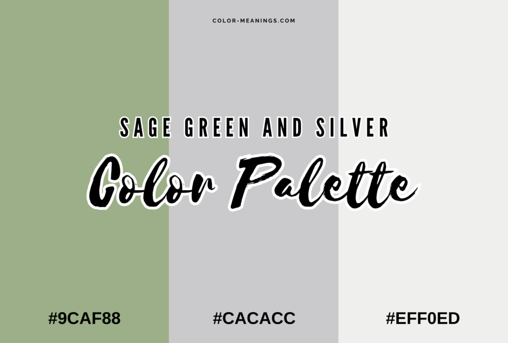 Sage Green and Silver Color Palette