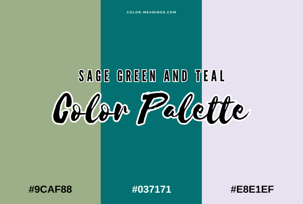 Sage Green and Teal Color Palette