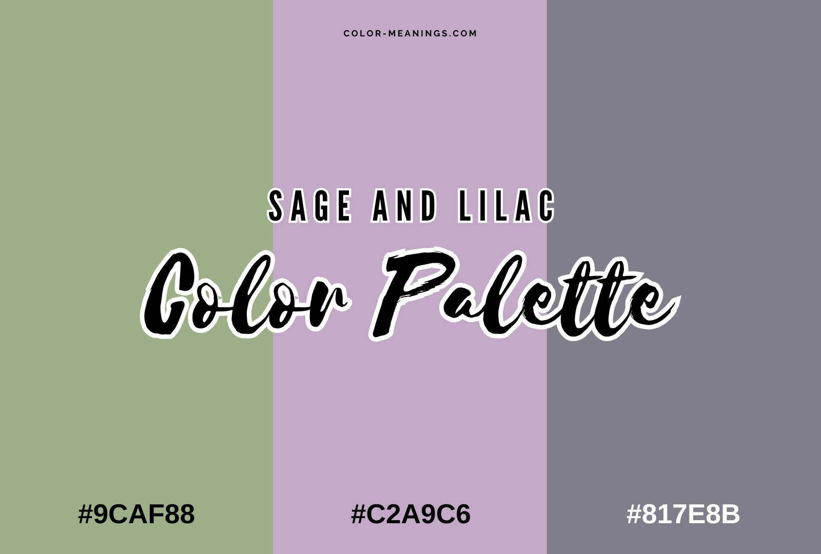 The Color Lilac Definition Hex Code History Meaning And Design The Color Lilac Definition Hex Code History Meaning And Design
