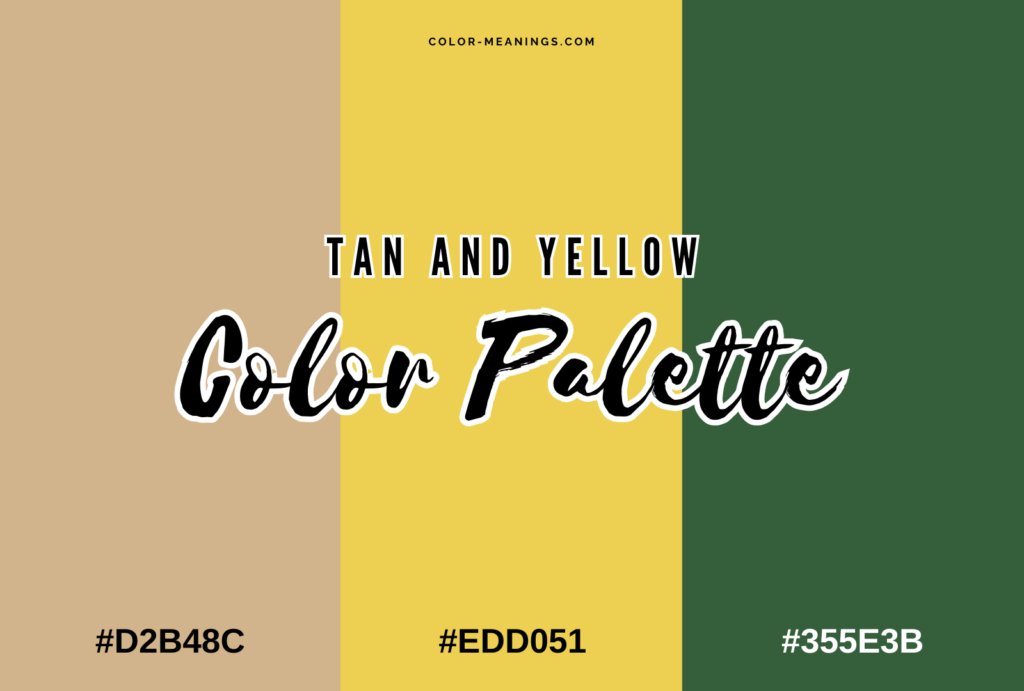 Tan and Yellow Color Palette